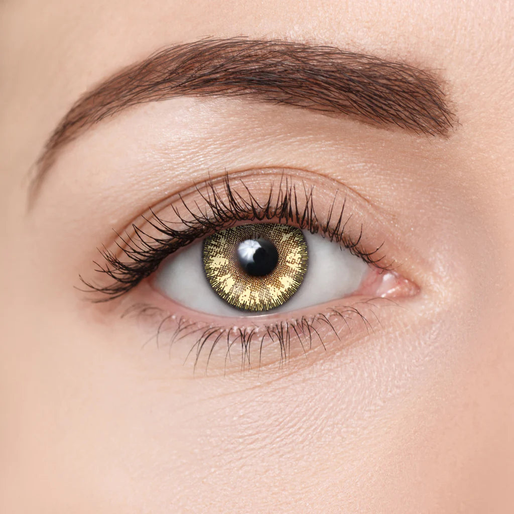 DONUT CONTACT LENS Bronze Hazel D10